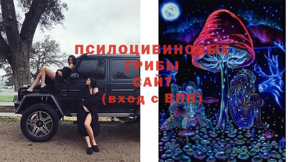 гашик Арсеньев