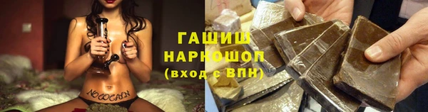 гашик Арсеньев