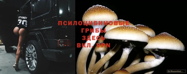 наркотики Пересвет