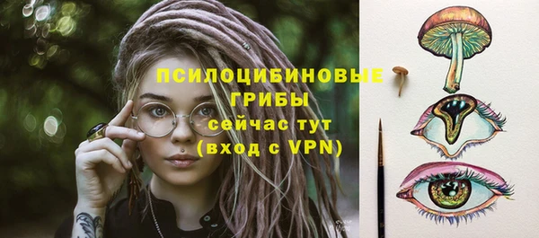 гашик Арсеньев