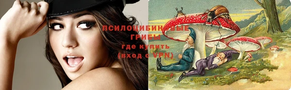 гашик Арсеньев