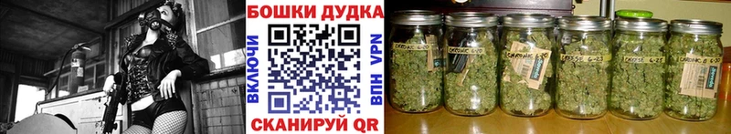 Каннабис семена  Межгорье 